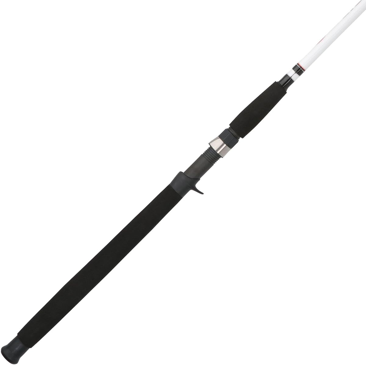 Berkley Big Game Casting Rod